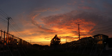 811548f0.jpg