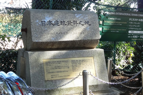 81209800.jpg