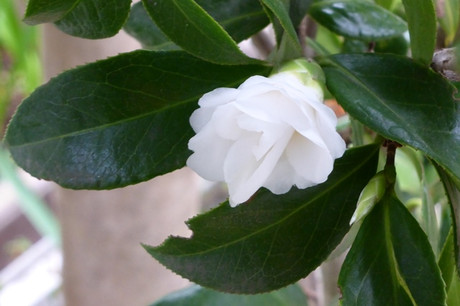 8120b840.jpg