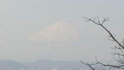 84399546.jpg