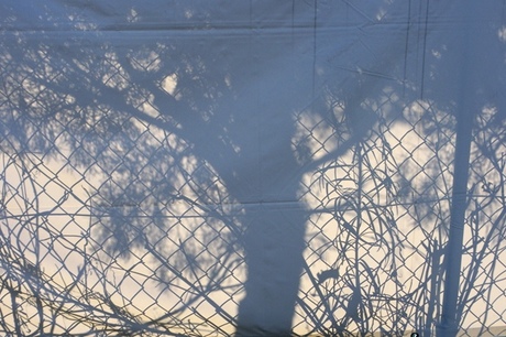 8660c1d7.jpg