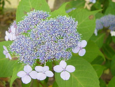 867c53f6.jpg