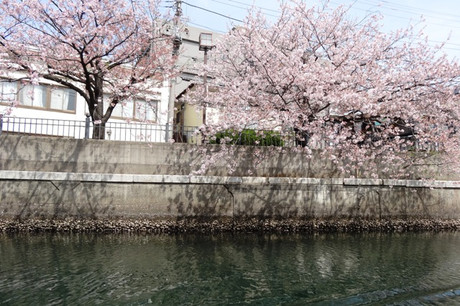 87d7f676.jpg