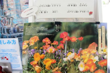 8921e7d4.jpg