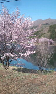 中綱湖です