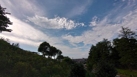 DSC_3166