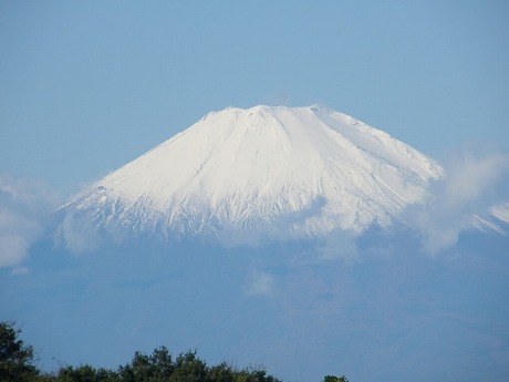 8d594806.jpg