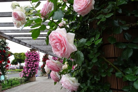 DSC00158
