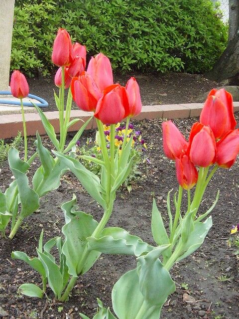 Ssdsc06768 Ssdsc06768