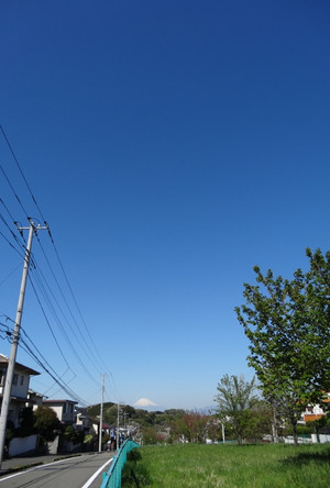 8f51227a.jpg