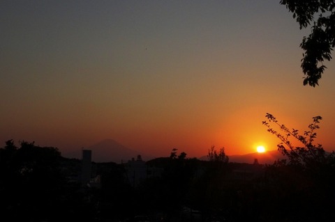 t_DSC01371