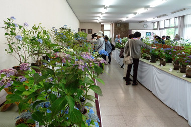 96b34540.jpg