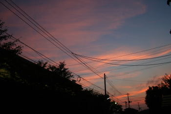 9708f5f4.jpg