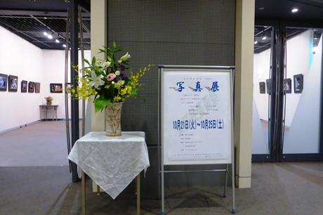 975cff3b.jpg