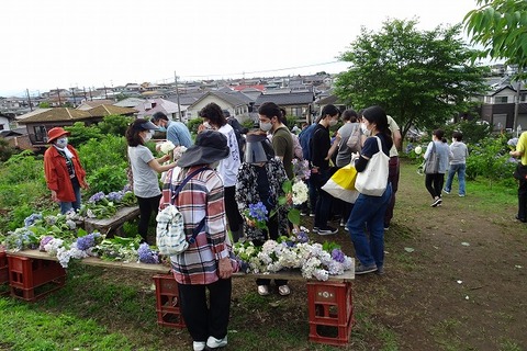 DSC04828