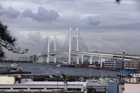 9a008e62.jpg