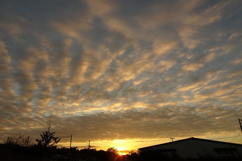 s-DSC05052