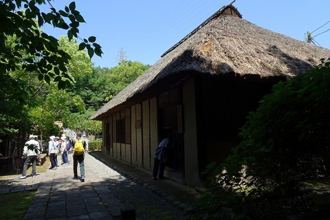 s-DSC09830