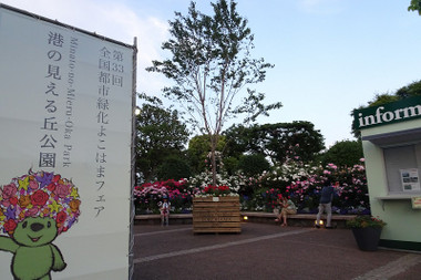 a16fa967.jpg