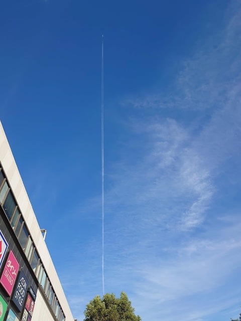 DSC_1375