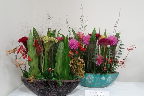 aDSC05187