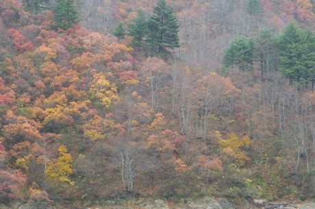 a50a9a00.jpg