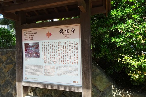 s-DSC09841