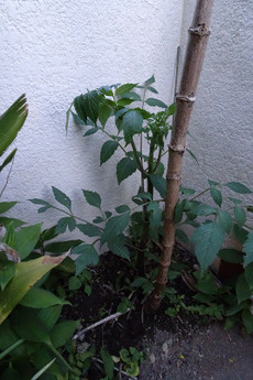 a77f87f2.jpg