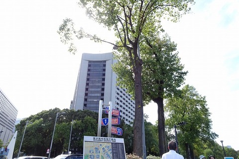 DSC09312