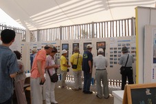 a836d49c.jpg