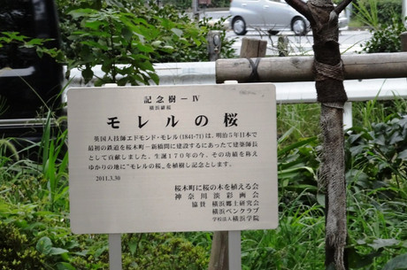 a95f5339.jpg