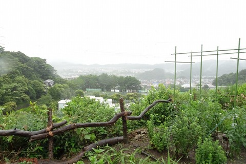 DSC01125