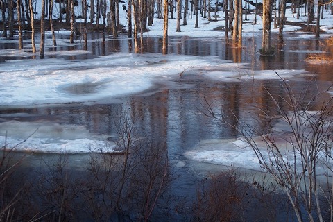 s_aaP4100261