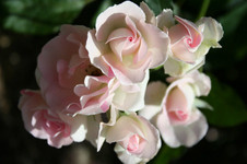 ab4cb066.jpg