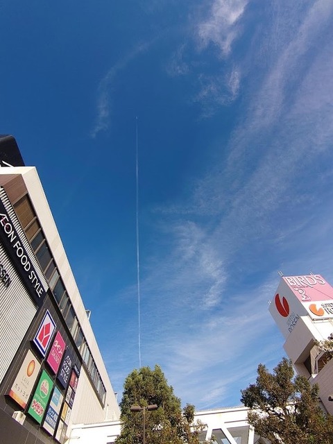 DSC_1376