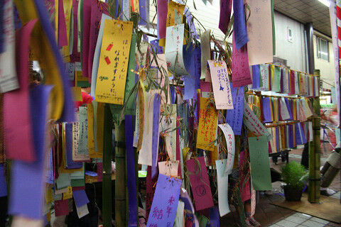 Resize0036_1 Resize0036_1