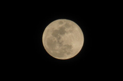 b06004be.jpg
