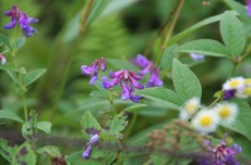 b2d74c82.jpg