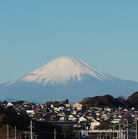 t_DSC_2864