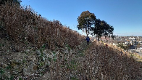 s_DSC_7523