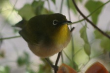b8d11004.jpg