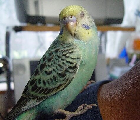 Sssdsc07706 Sssdsc07706