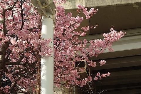 DSC_3578 (2)