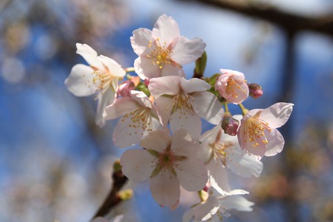 sIMG_8941