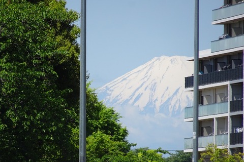 s-DSC08204