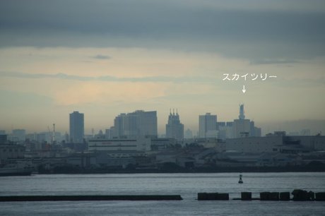 be08a8a9.jpg