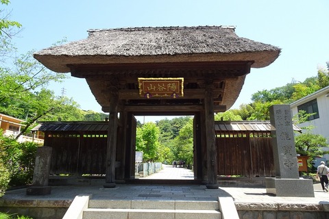 s-DSC09839