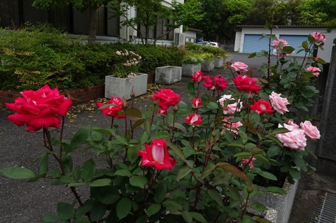 aDSC00125