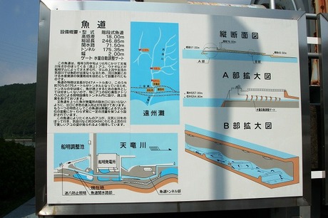 c01425a4.jpg