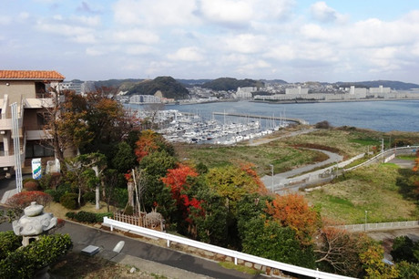 c343d1f6.jpg